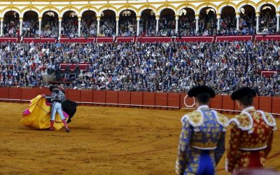 Bullfighting Season