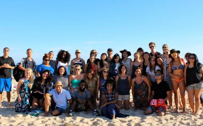 Beach and Wine Cellars