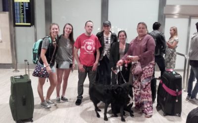 Spring semester 2018 Arrival