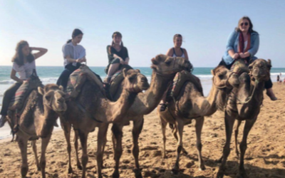 Mandatory informative meeting