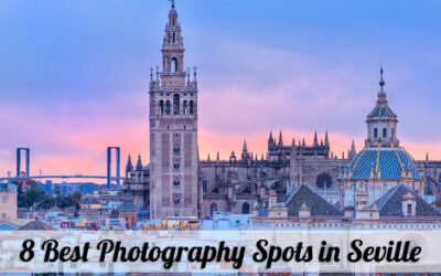 ICS “My Seville” photo contest must be submitted by Monday the 10th