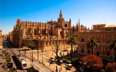 Visit to seville’s Cathedral