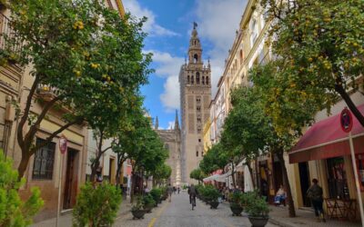 Tour of the ancient Jewish and Islamic quarters of Seville