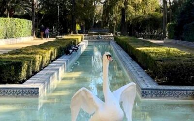 ICS Summer Intensive