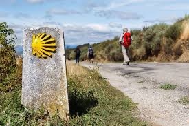 Camino de Santiago program May 2026