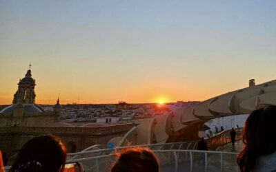 A Bittersweet Delight