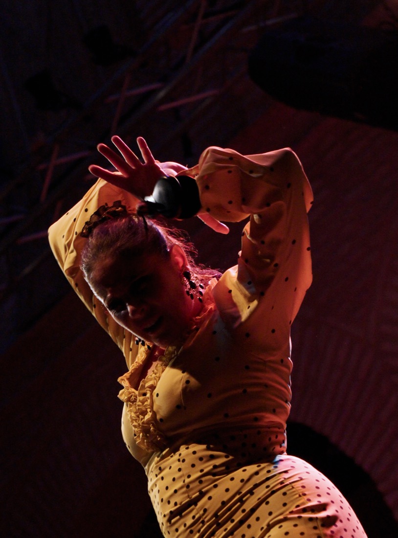 Flamenco performance