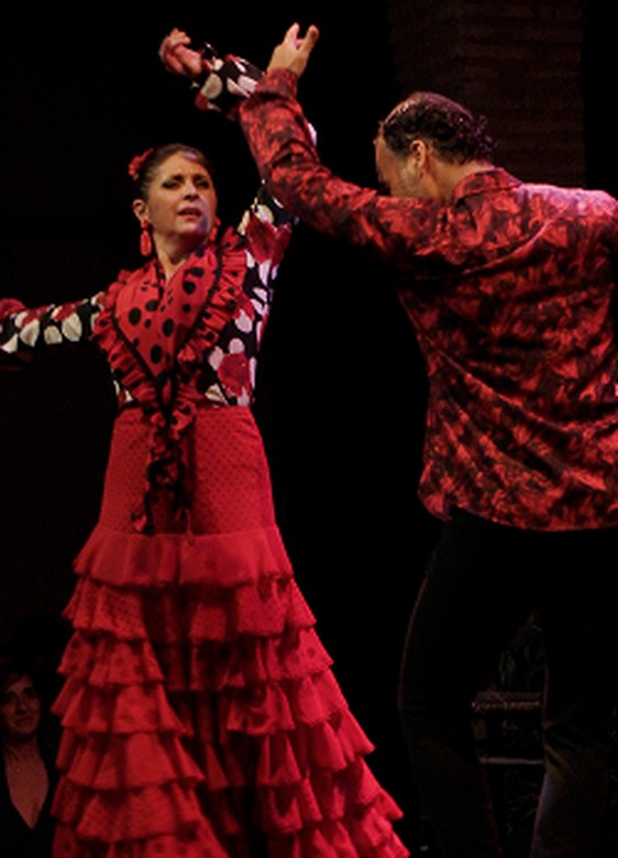 Flamenco Show