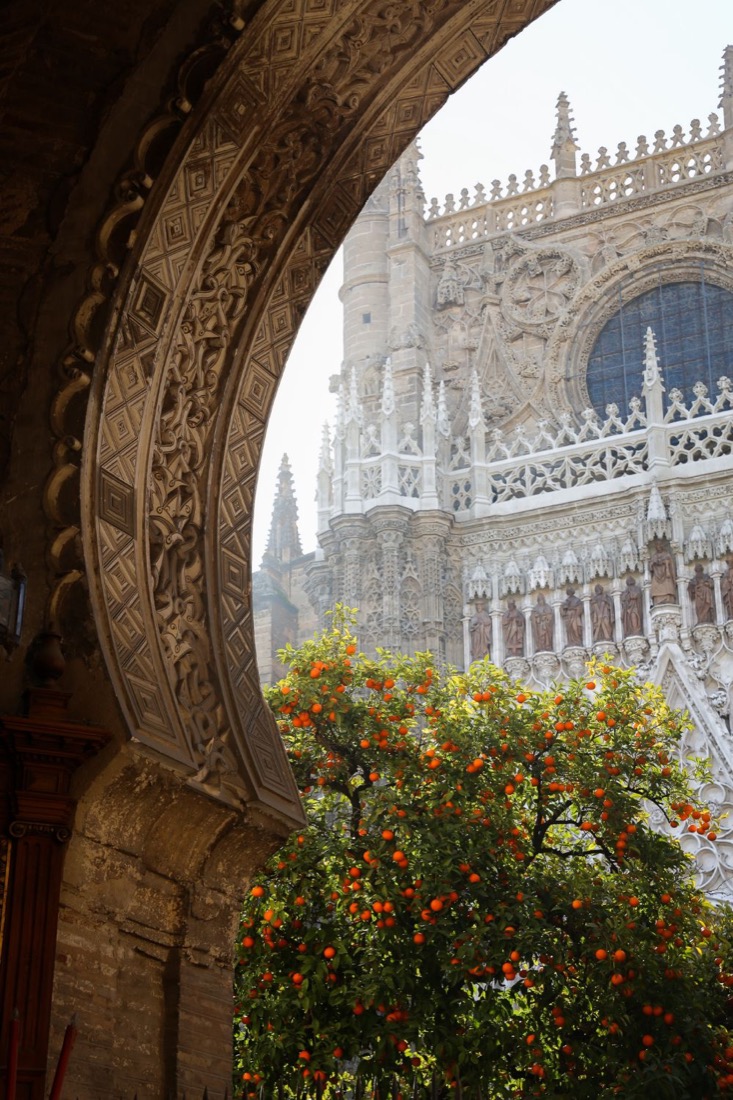 The Cathedral & Giralda