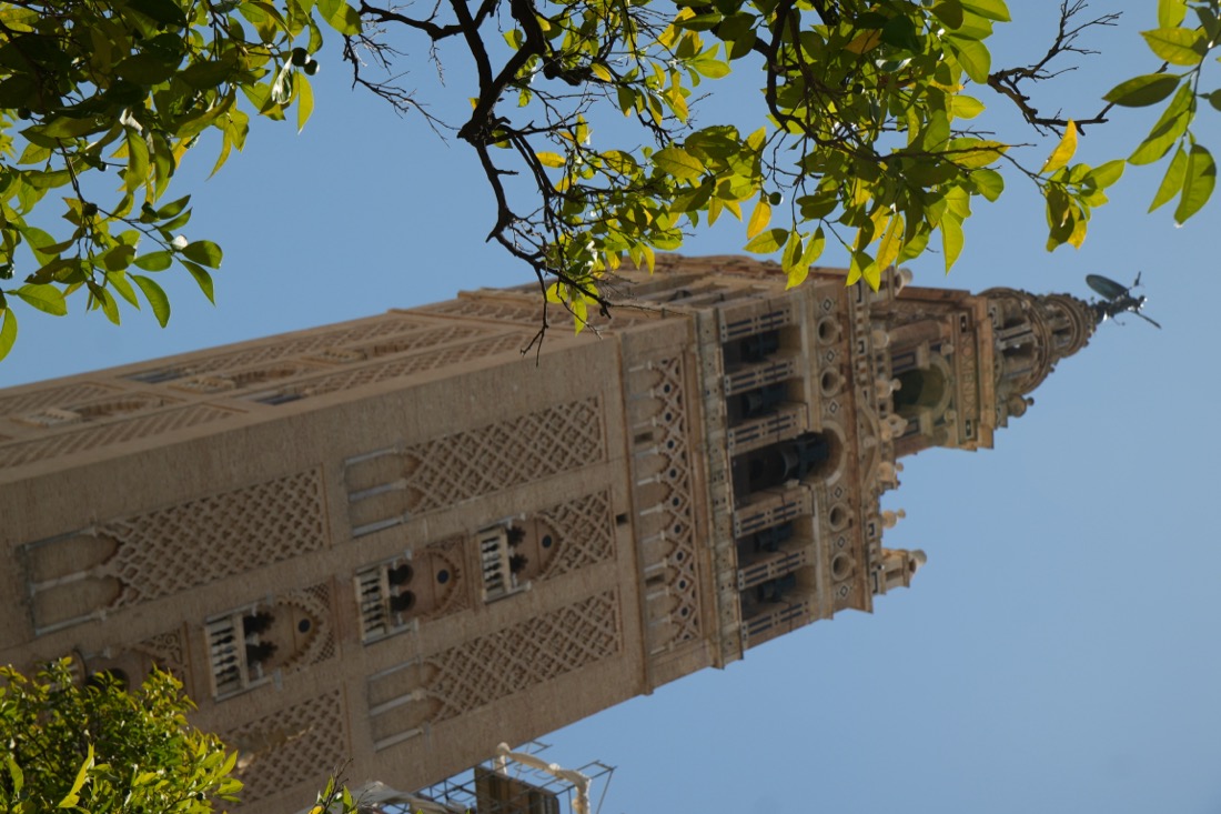 The Royal Alcázar