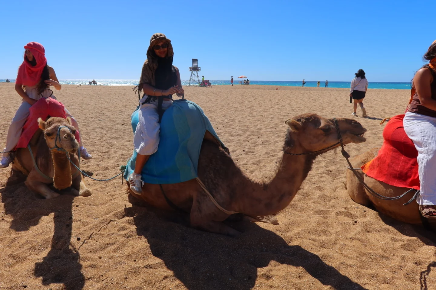 The trips don't stop there... Hello, Morocco! · ICS Seville